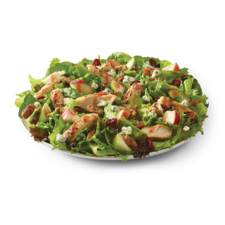 Wendy's Salad