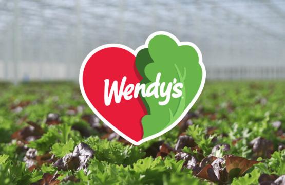 Wendy's Lettuce
